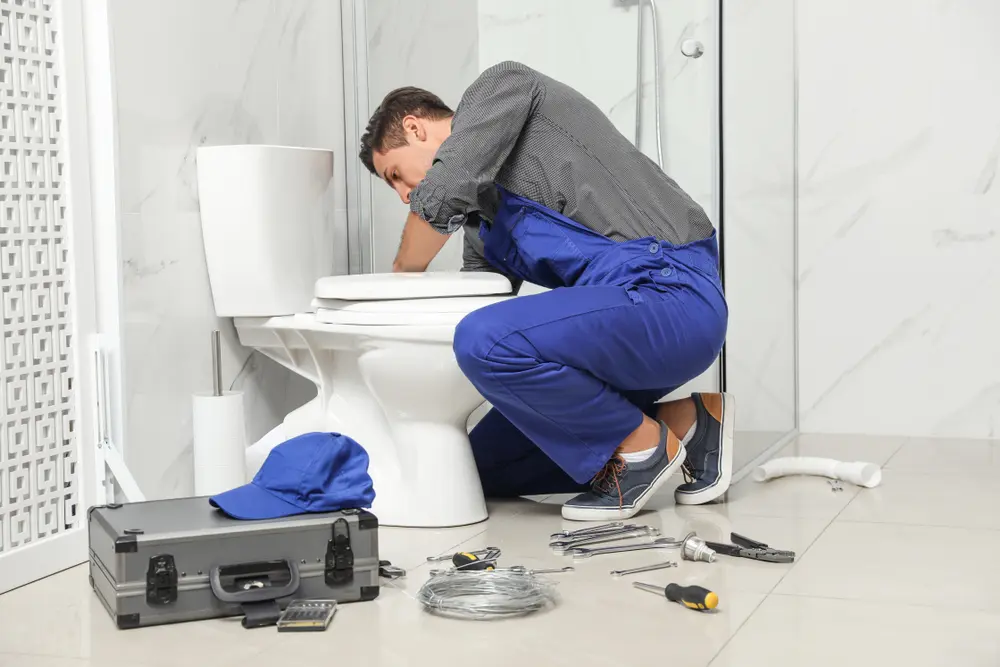 Toilet Installation in Floris